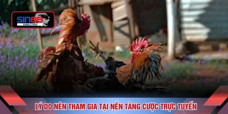 Lý do nên tham gia tại nền tảng cược trực tuyến