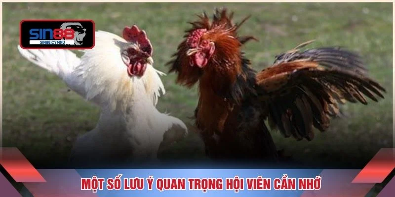 Một số lưu ý quan trọng hội viên cần nhớ