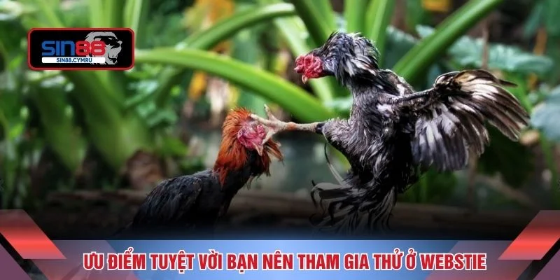 Ưu điểm tuyệt vời bạn nên tham gia thử ở webstie